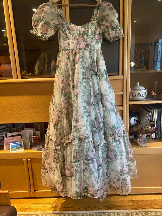 Selkie Dresses & Skirts - The garden roses silk gauze ritz